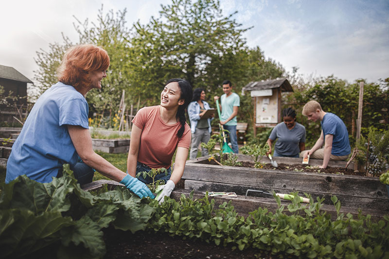 Rural and Northern Immigration Pilot